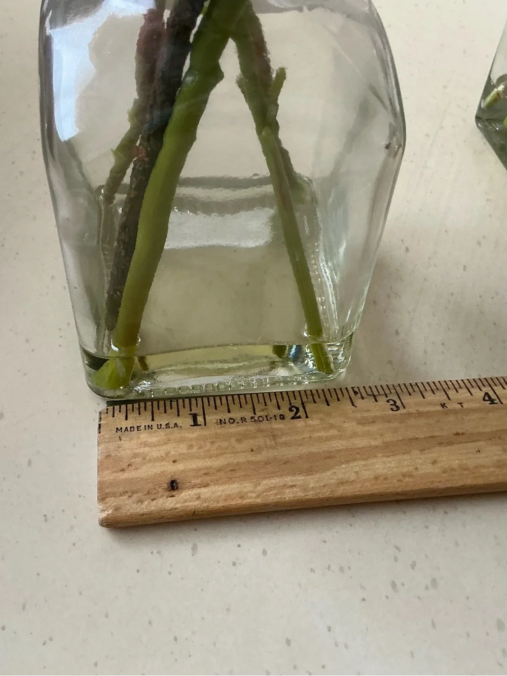 Two Artificial Lemon Tree Branches in Glass Vases Decor 🍋
